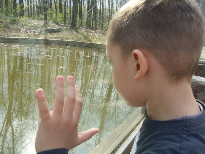 DSCN4040 - 3 Vadaspark - Nyiregyhazi