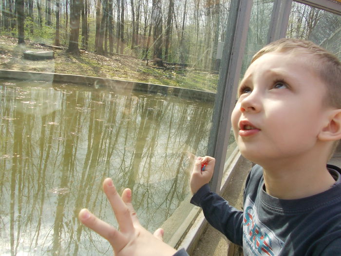 DSCN4041 - 3 Vadaspark - Nyiregyhazi