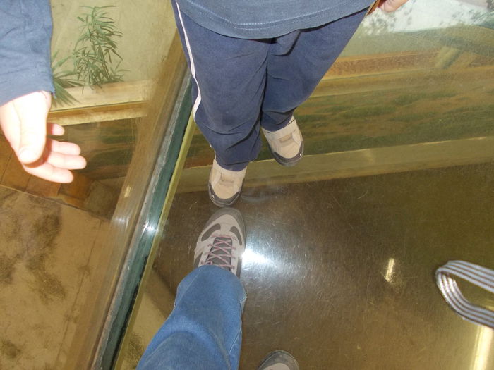 DSCN4131 - 3 Vadaspark - Nyiregyhazi