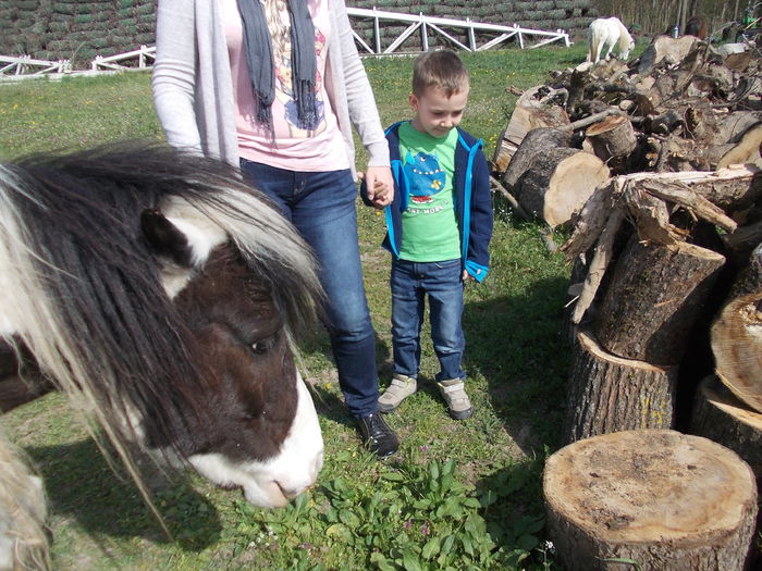 DSCN4649 - 8 Roszaly