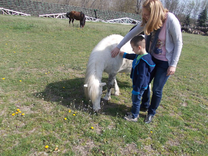 DSCN4658 - 8 Roszaly