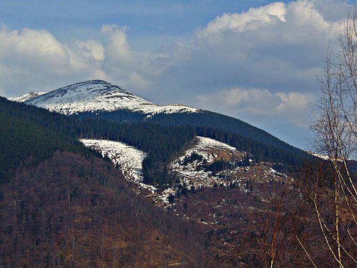 DSC06720 - Poze natura