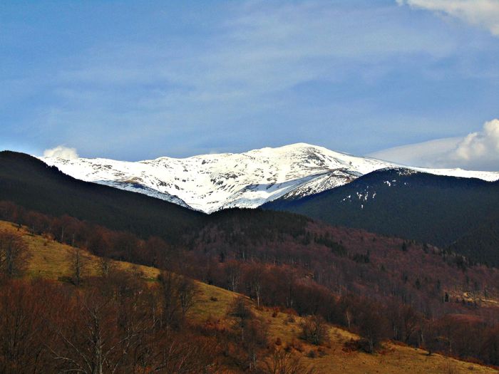 DSC06721 - Poze natura