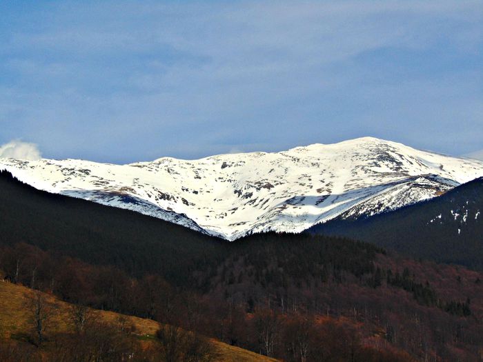 DSC06722 - Poze natura