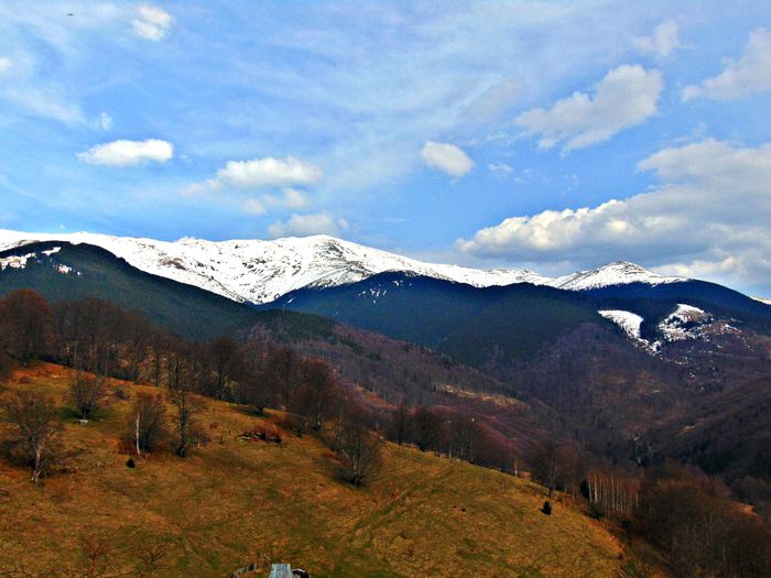 DSC06725 - Poze natura