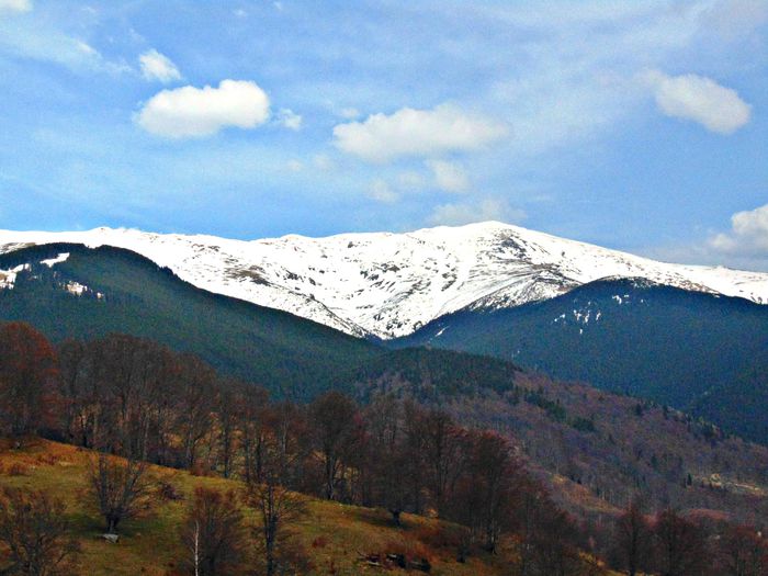 DSC06727 - Poze natura