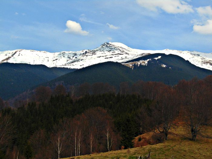 DSC06730 - Poze natura
