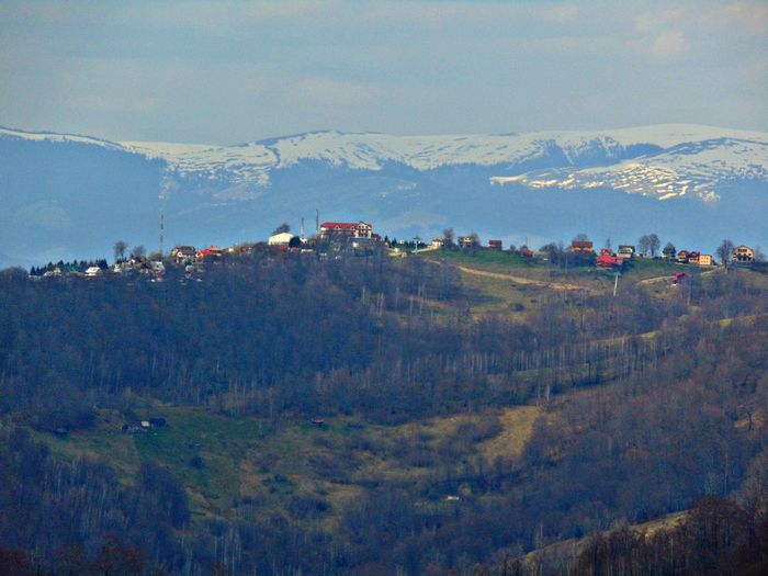 DSC06734 - Poze natura