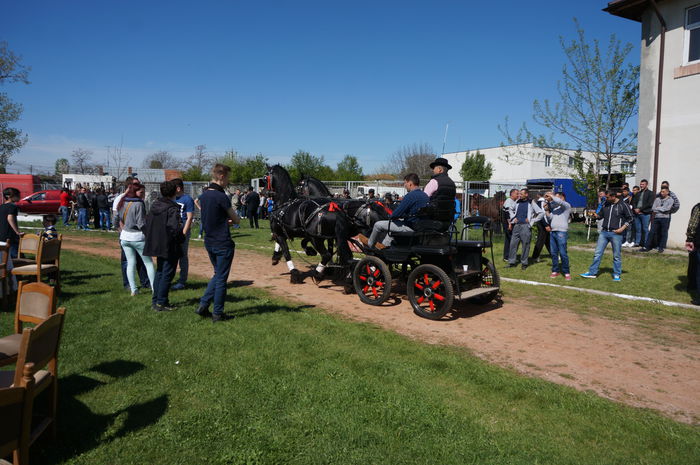 DSC00525