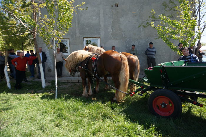 DSC00633