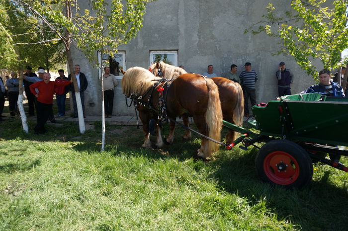 DSC00634
