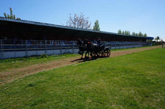 DSC00647