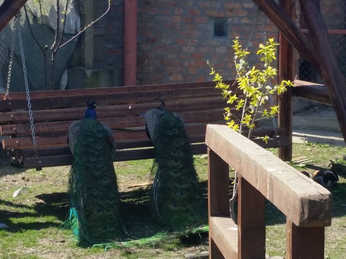 20150424_130224