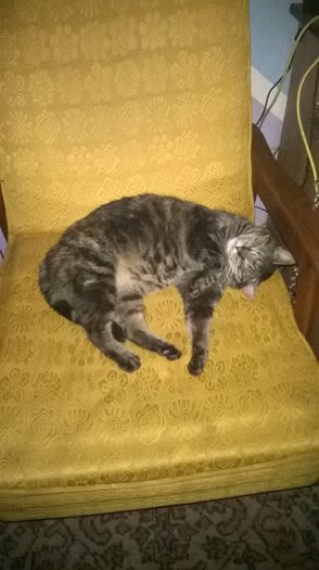 din pacate doar o foarte frumoasa amintire