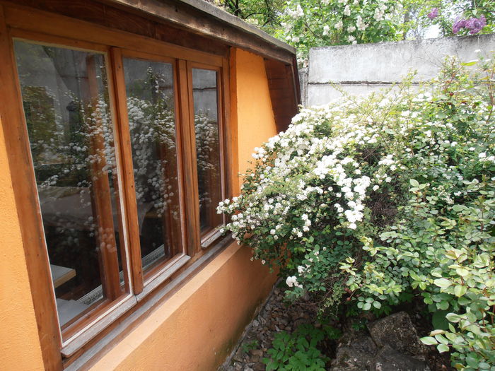 P4240043 - CALEIDOSCOP