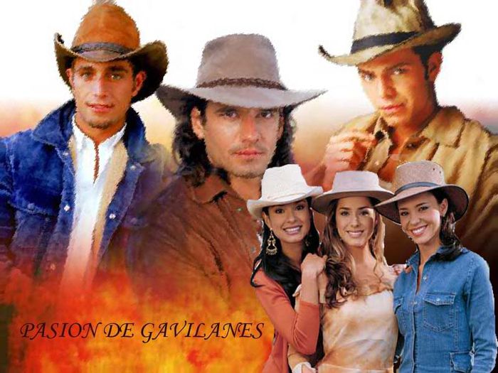 wall_pdg002pdg - pasion de gavilanes