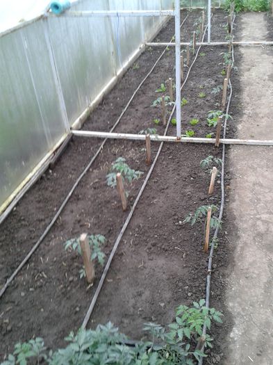 20150418_181239 - 0019 SERA construita in 2012