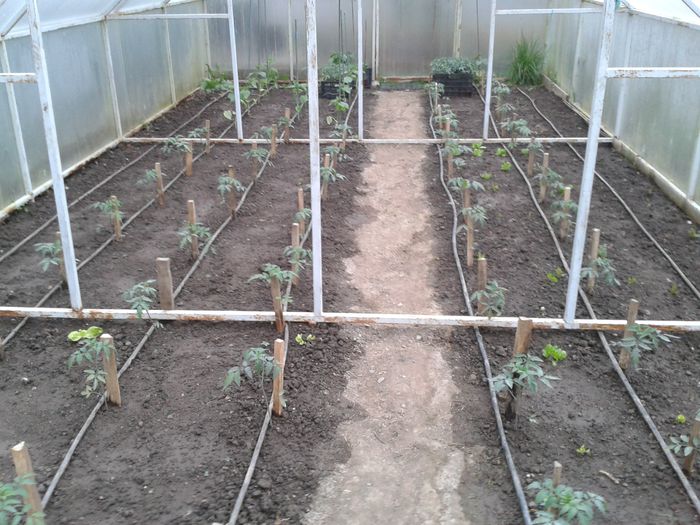 20150418_181303 - 0019 SERA construita in 2012