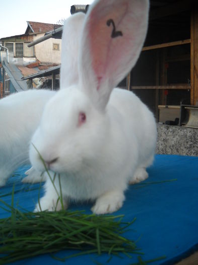 DSCN1031