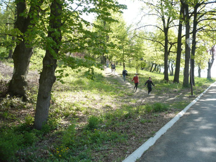 P1120877 - 2015 - Pitesti - aprilie