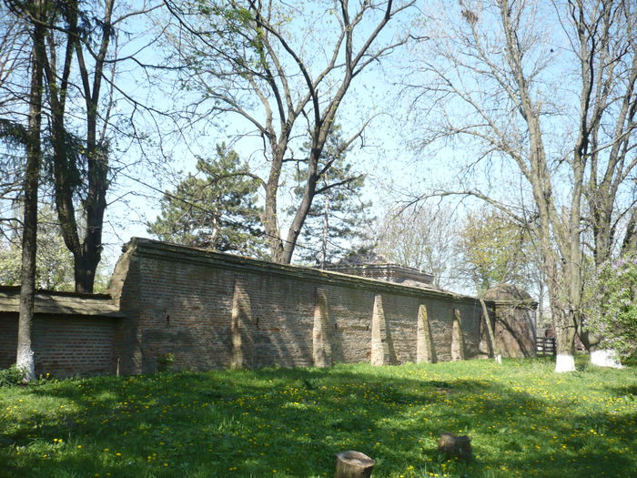 P1120901 - 2015 - Pitesti - aprilie