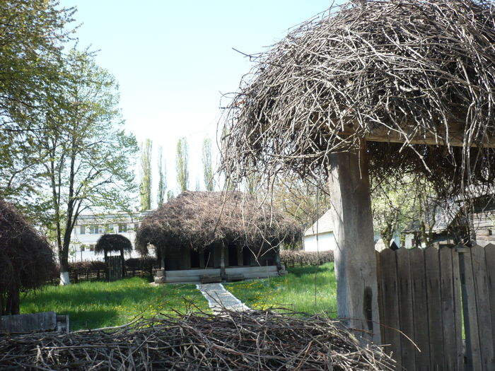 P1120903 - 2015 - Pitesti - aprilie