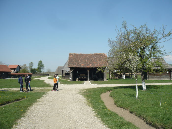 P1120954 - 2015 - Pitesti - aprilie