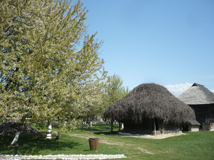 P1120960 - 2015 - Pitesti - aprilie