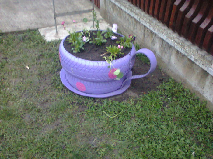 Fotografie0174 - mobilier gradina