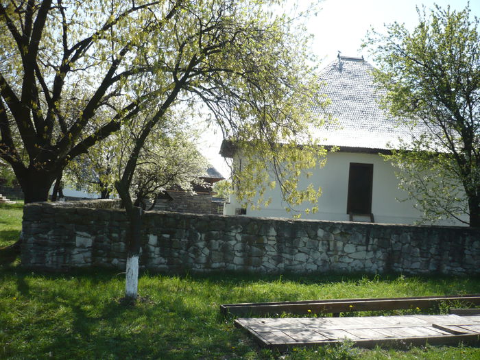 P1120985 - 2015 - Pitesti - aprilie
