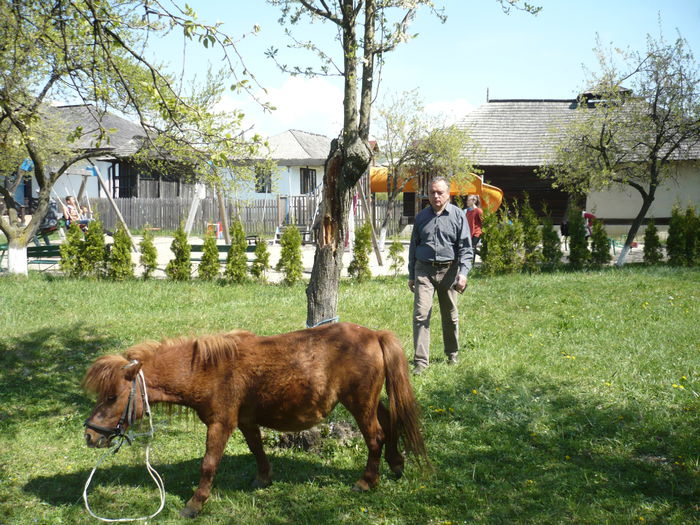 P1120988 - 2015 - Pitesti - aprilie