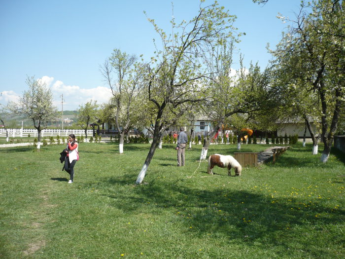 P1120990 - 2015 - Pitesti - aprilie