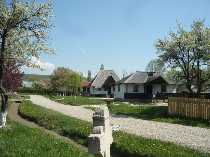 P1120995 - 2015 - Pitesti - aprilie