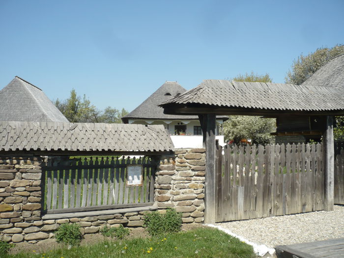 P1120999 - 2015 - Pitesti - aprilie
