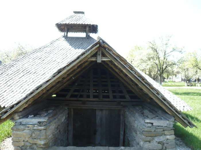 P1130004 - 2015 - Pitesti - aprilie