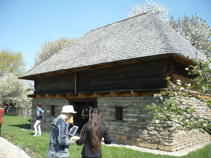 P1130006 - 2015 - Pitesti - aprilie