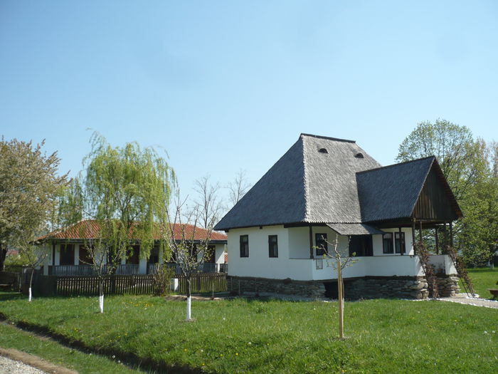 P1130009 - 2015 - Pitesti - aprilie