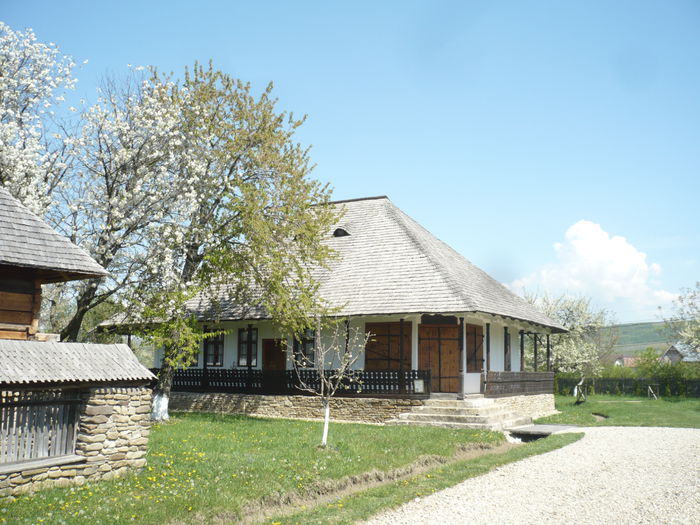 P1130010 - 2015 - Pitesti - aprilie