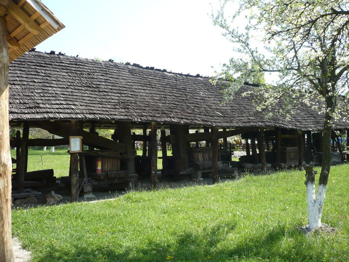 P1130023 - 2015 - Pitesti - aprilie