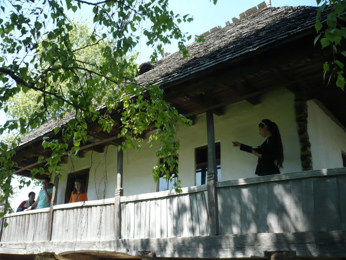 P1130027 - 2015 - Pitesti - aprilie