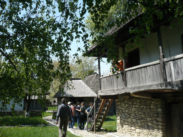P1130028 - 2015 - Pitesti - aprilie