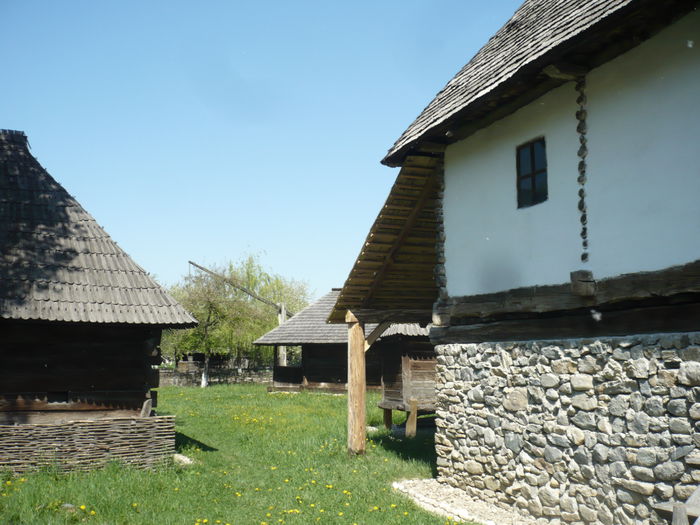 P1130033 - 2015 - Pitesti - aprilie