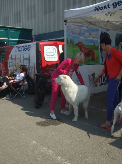 DSCF4240 - z Expo canin Satu Mare 2015