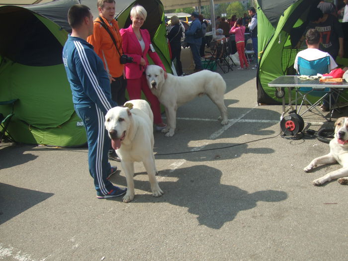 DSCF4268 - z Expo canin Satu Mare 2015