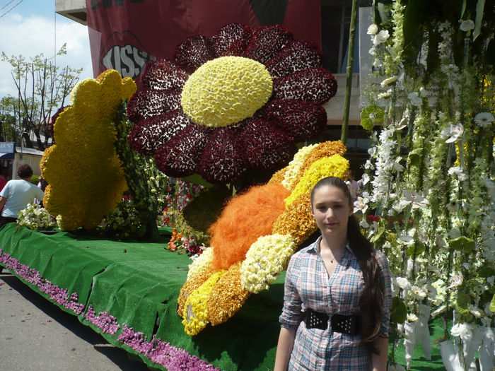 P1130127 - 2015 - Pitesti - aprilie