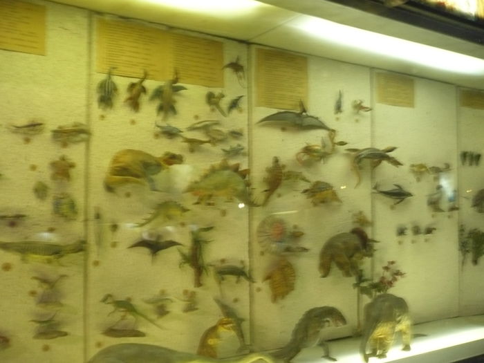 P1130213 - 2015 - Pitesti - aprilie