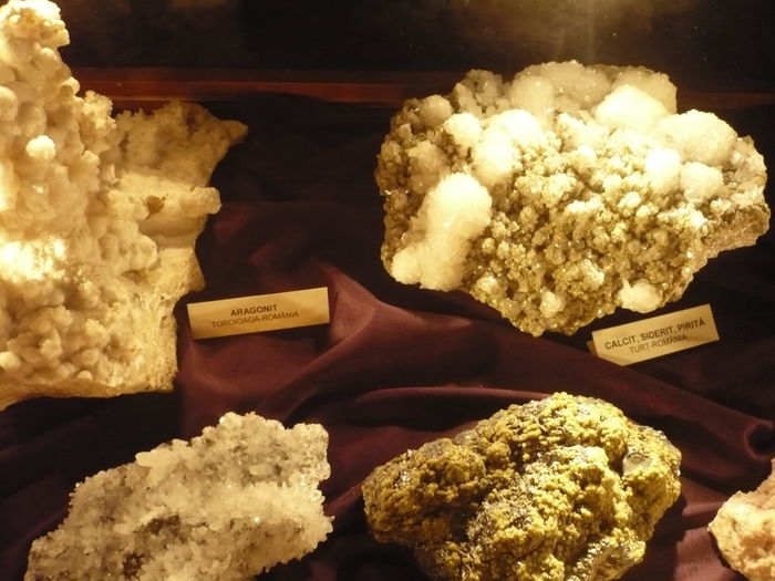 P1130276 - 2015 - Pitesti - aprilie