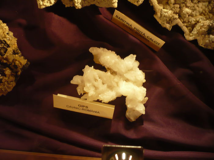 P1130277 - 2015 - Pitesti - aprilie