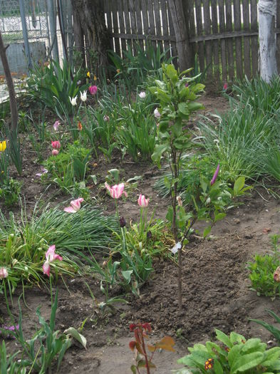 DSCF2346 (26-04-2014); 26-04-2014
