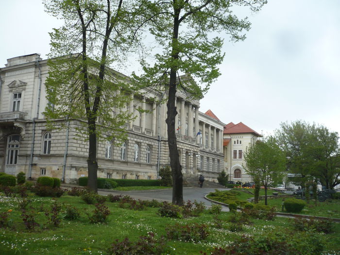 P1130292 - 2015 - Pitesti - aprilie